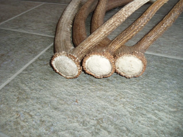 palchi raccolti